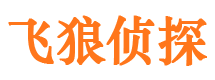 双桥区外遇出轨调查取证